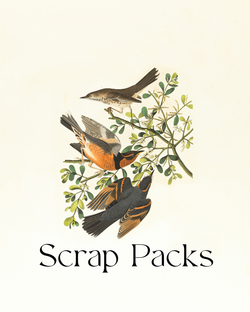 Scrap Packs